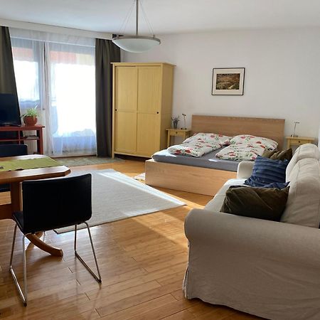 Apartment Grazbachgasse - Gratis Tiefgaragenplatz ภายนอก รูปภาพ